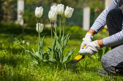 Team preparing hedges for trimming in a suburban Mitcham garden
